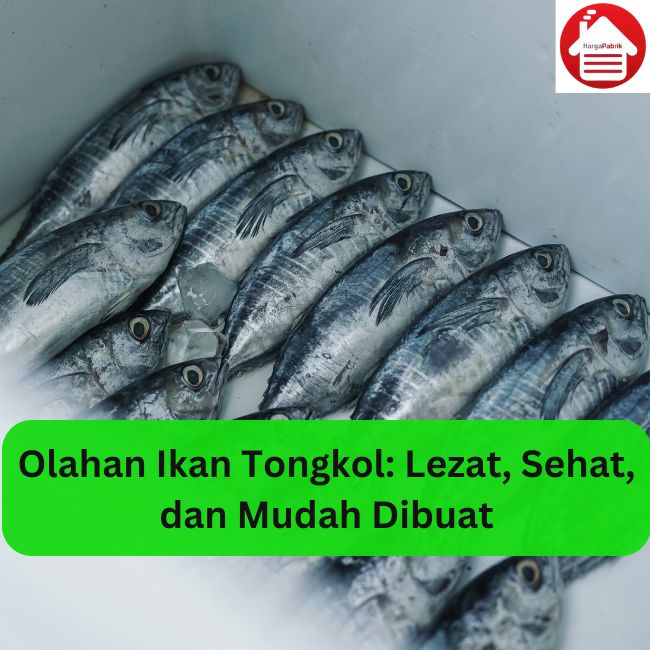 Olahan Ikan Tongkol: Lezat, Sehat, dan Mudah Dibuat