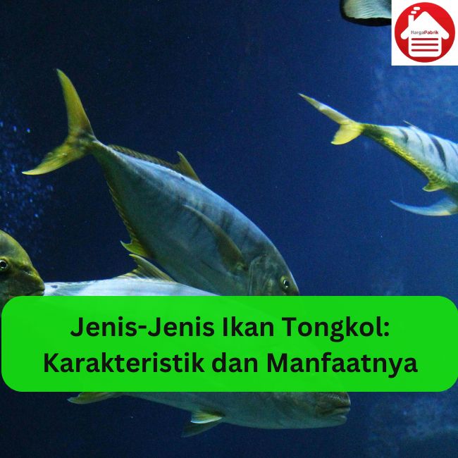 Jenis-Jenis Ikan Tongkol: Karakteristik dan Manfaatnya