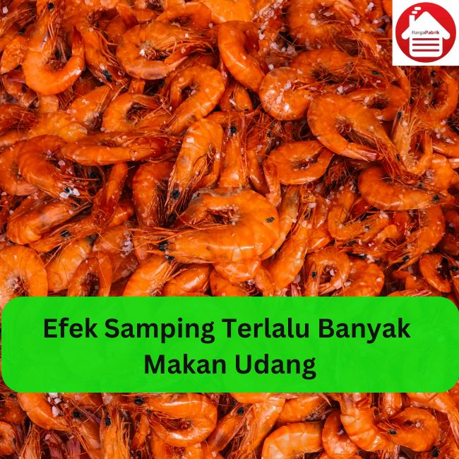 Efek Samping Terlalu Banyak Makan Udang