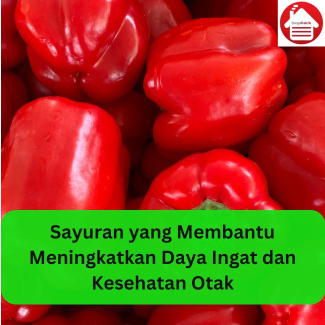 Sayuran yang Membantu Meningkatkan Daya Ingat dan Kesehatan 