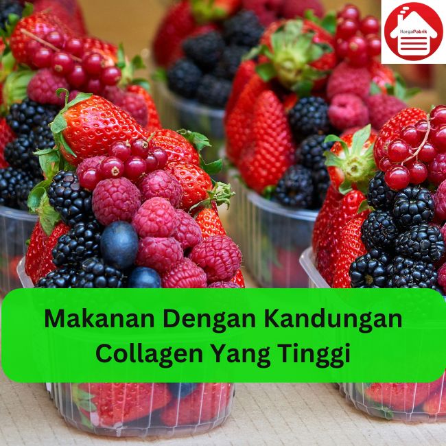 Makanan Dengan Kandungan Collagen Yang Tinggi