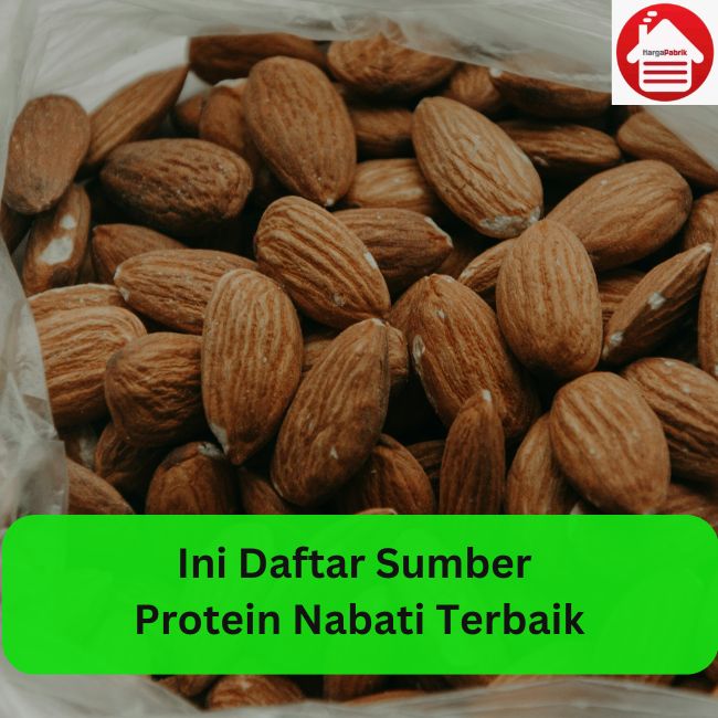 Ini Daftar Sumber Protein Nabati Terbaik