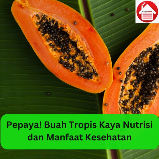 Pepaya! Buah Tropis Kaya Nutrisi dan Manfaat Kesehatan