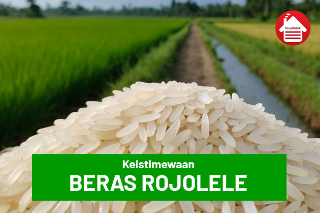 Beras Rojolele: Keistimewaan, Asal Usul, dan Definisinya